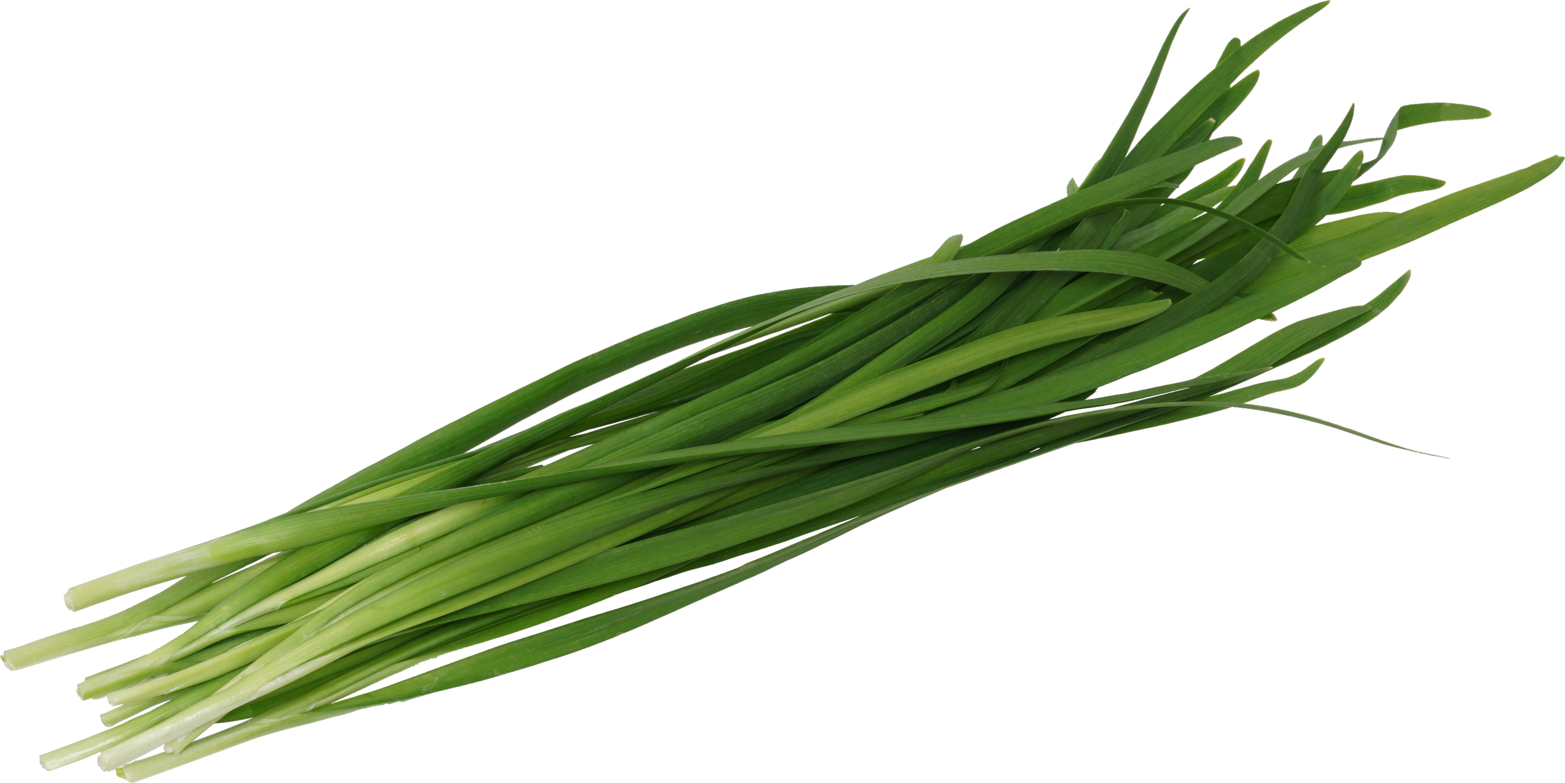 にら｜商用可フリー画像・背景透過