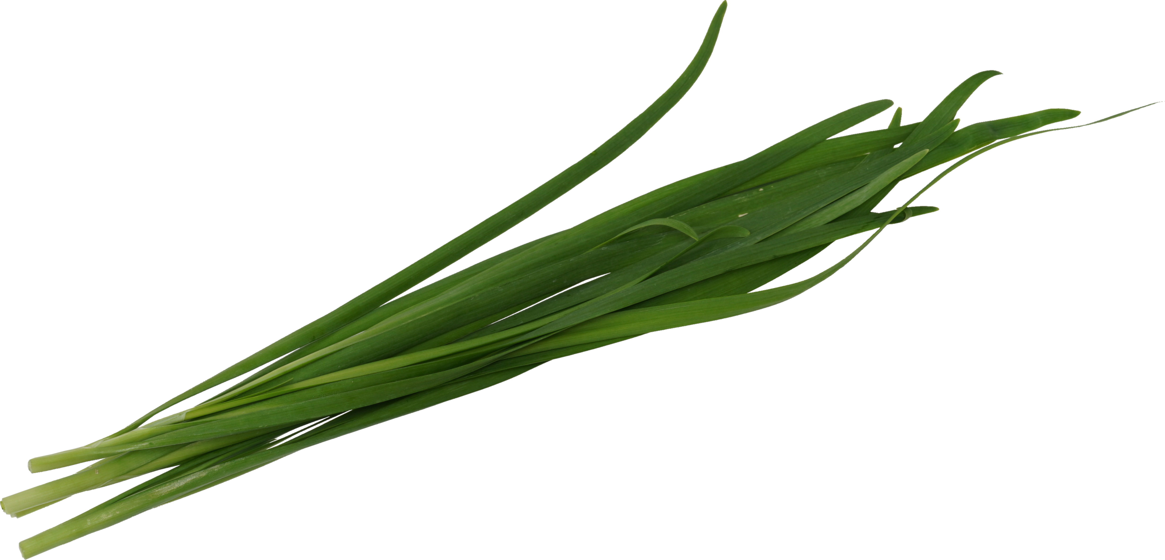 にら｜商用可フリー画像・背景透過