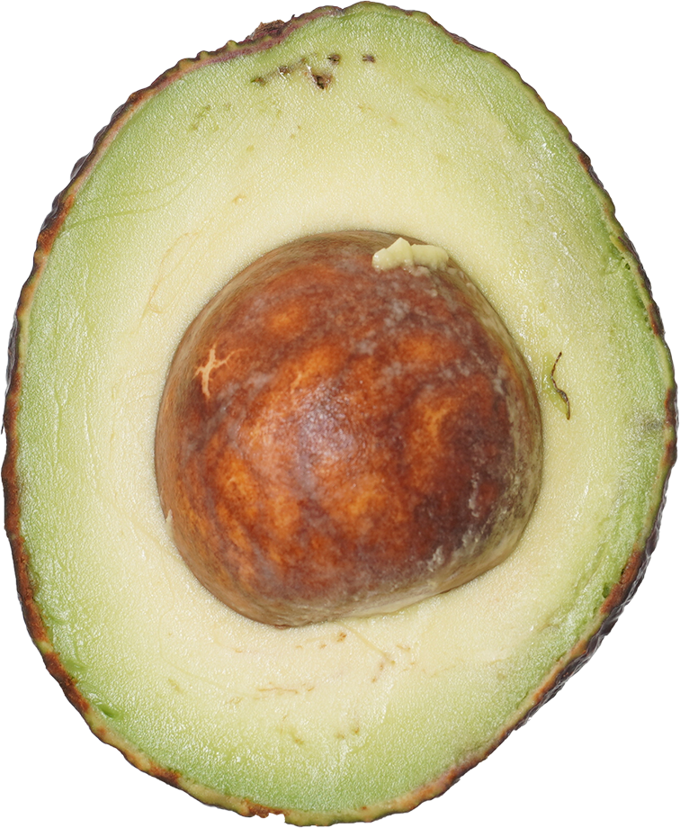 アボカド｜商用可フリー画像・背景透過