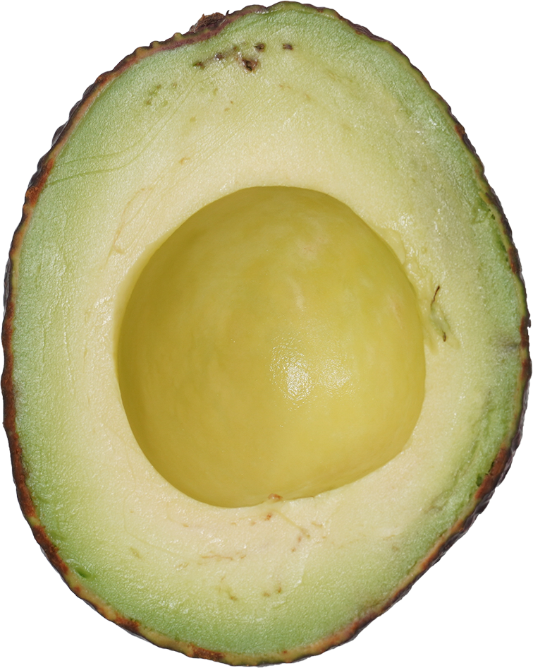 アボカド｜商用可フリー画像・背景透過