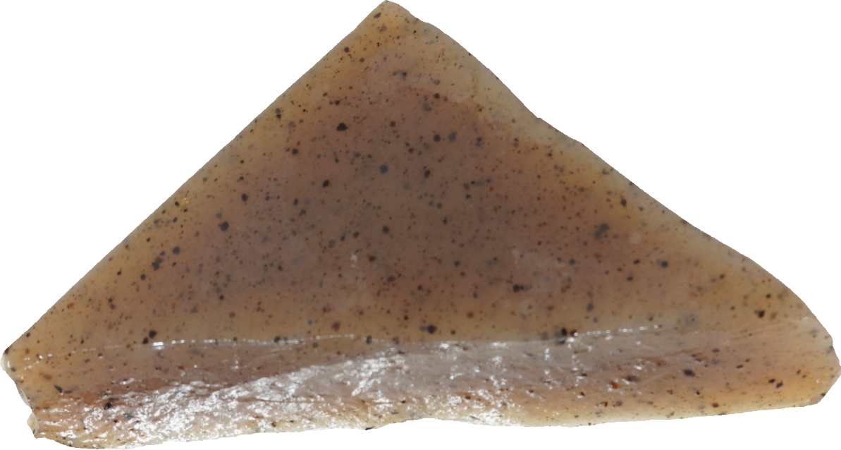 こんにゃく（黒）｜商用可フリー画像・背景透過