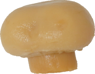 マッシュルーム（水煮）｜商用可フリー画像・背景透過