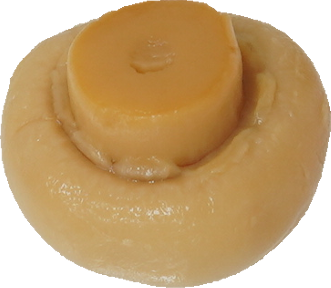 マッシュルーム（水煮）｜商用可フリー画像・背景透過