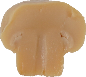 マッシュルーム（水煮）｜商用可フリー画像・背景透過