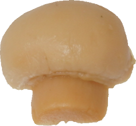 マッシュルーム（水煮）｜商用可フリー画像・背景透過