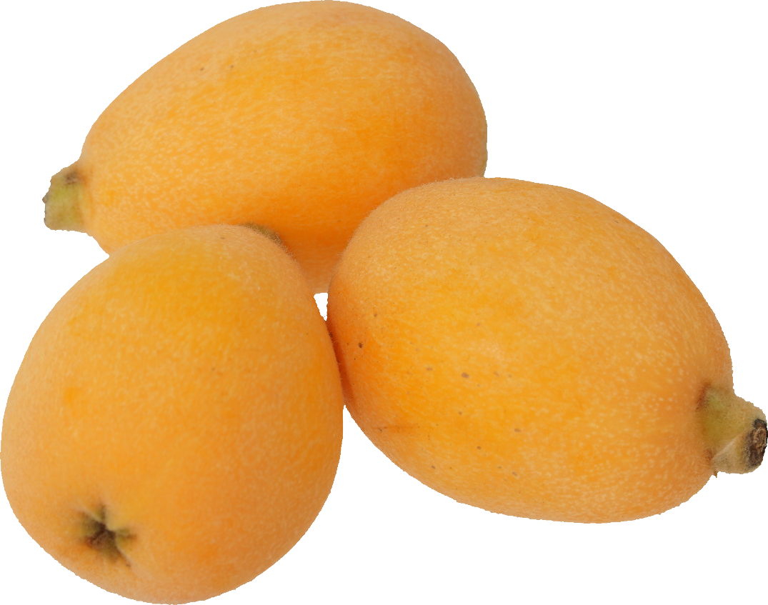 びわ｜商用可フリー画像・背景透過