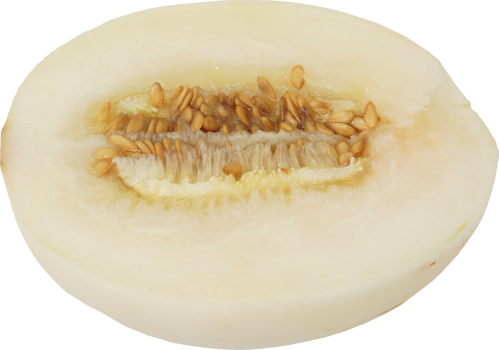 ホームランメロン｜商用可フリー画像・背景透過