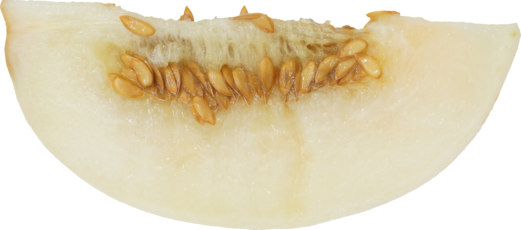 ホームランメロン｜商用可フリー画像・背景透過