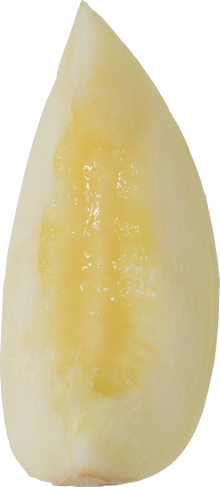 ホームランメロン｜商用可フリー画像・背景透過