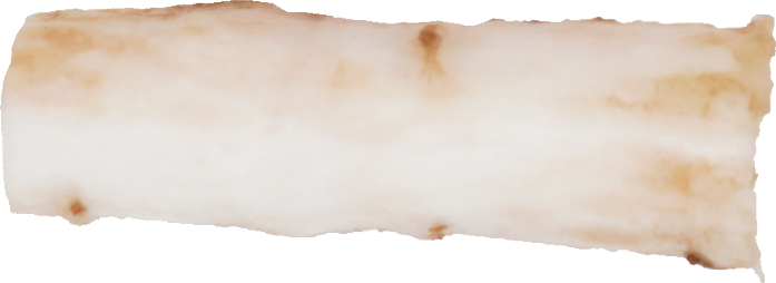 ごぼう｜商用可フリー画像・背景透過