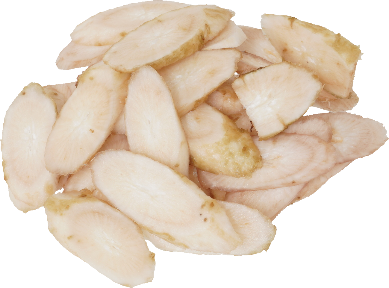 ごぼう｜商用可フリー画像・背景透過