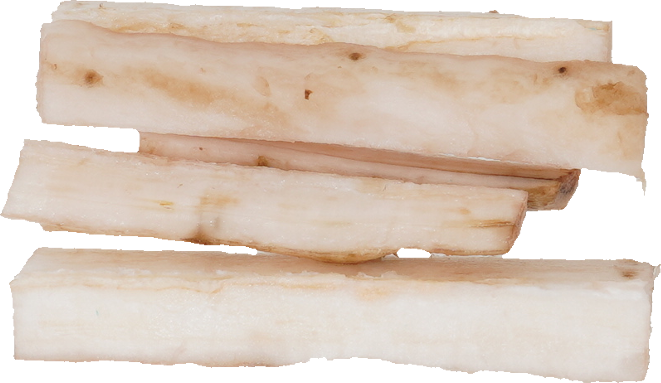 ごぼう｜商用可フリー画像・背景透過