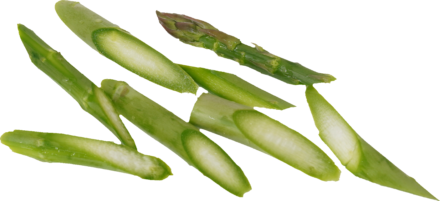 アスパラガス｜商用可フリー画像・背景透過