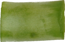 アスパラガス｜商用可フリー画像・背景透過