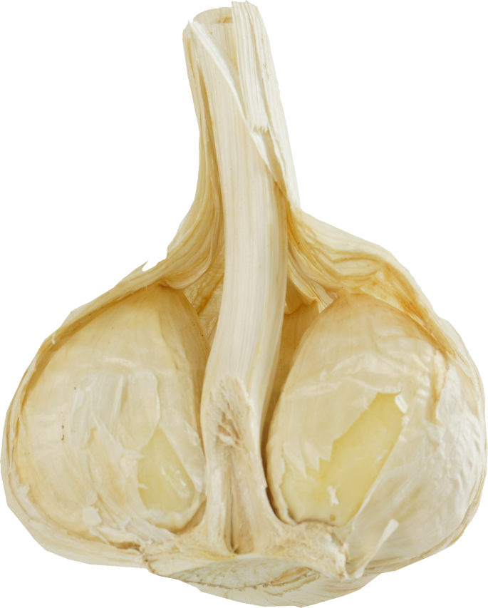 にんにく｜商用可フリー画像・背景透過