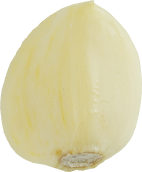 にんにく｜商用可フリー画像・背景透過