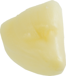 にんにく｜商用可フリー画像・背景透過