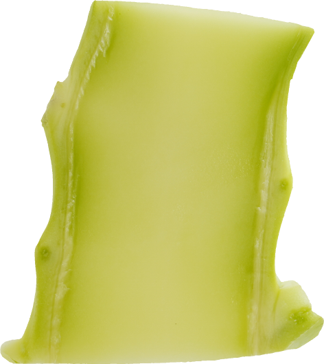 ブロッコリー｜商用可フリー画像・背景透過