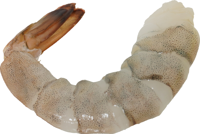 バナメイエビ｜商用可フリー画像・背景透過