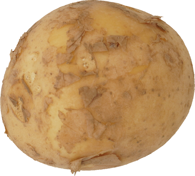 じゃがいも｜商用可フリー画像・背景透過