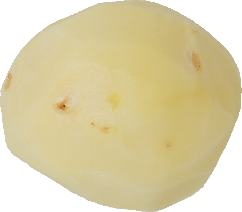 じゃがいも｜商用可フリー画像・背景透過