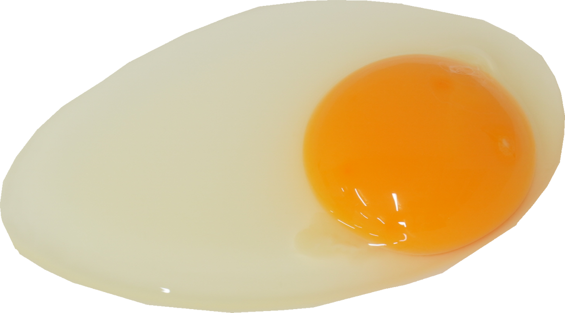 鶏卵｜商用可フリー画像・背景透過