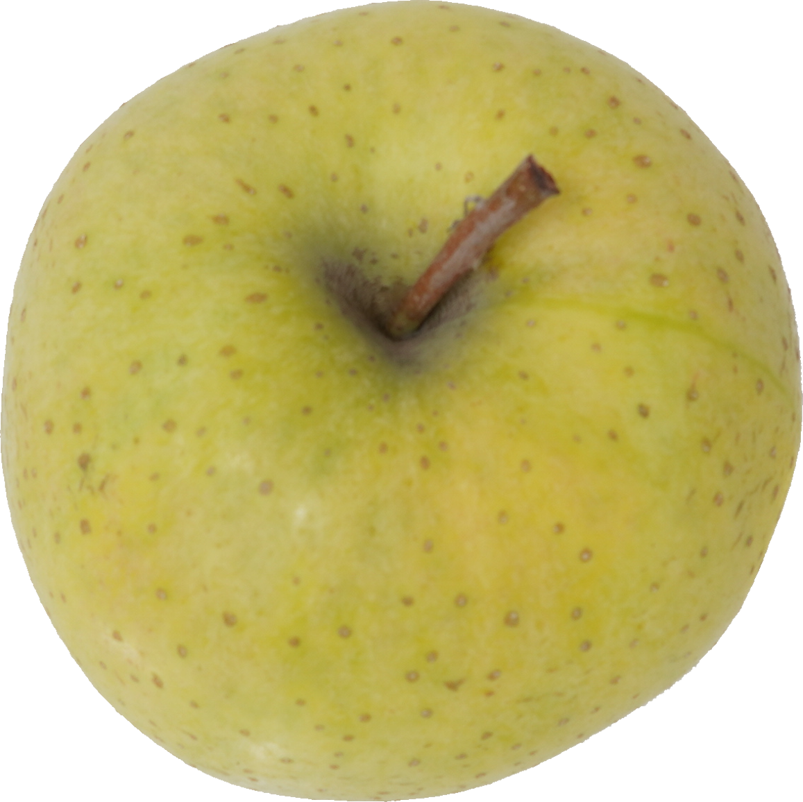 青りんご｜商用可フリー画像・背景透過