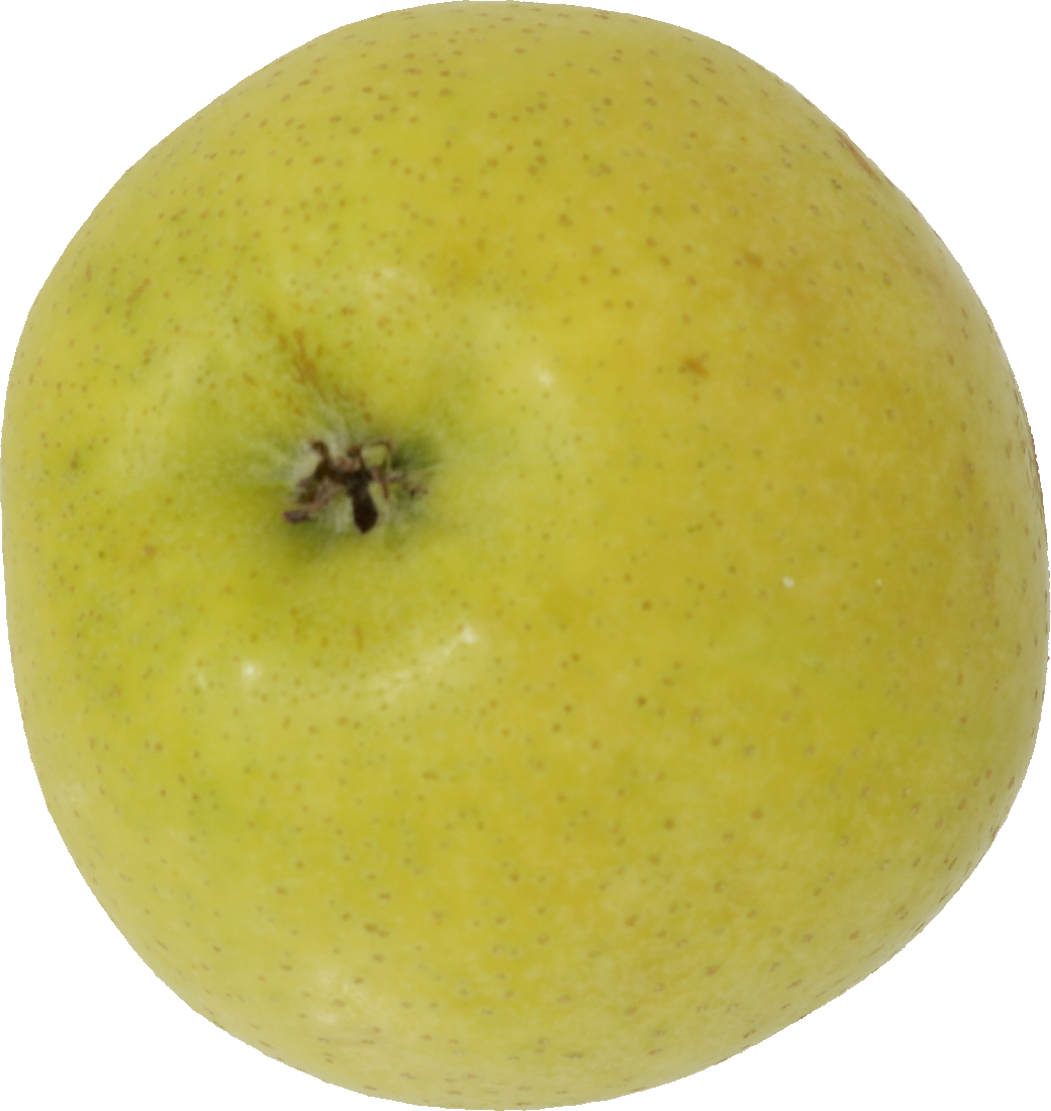 青りんご｜商用可フリー画像・背景透過