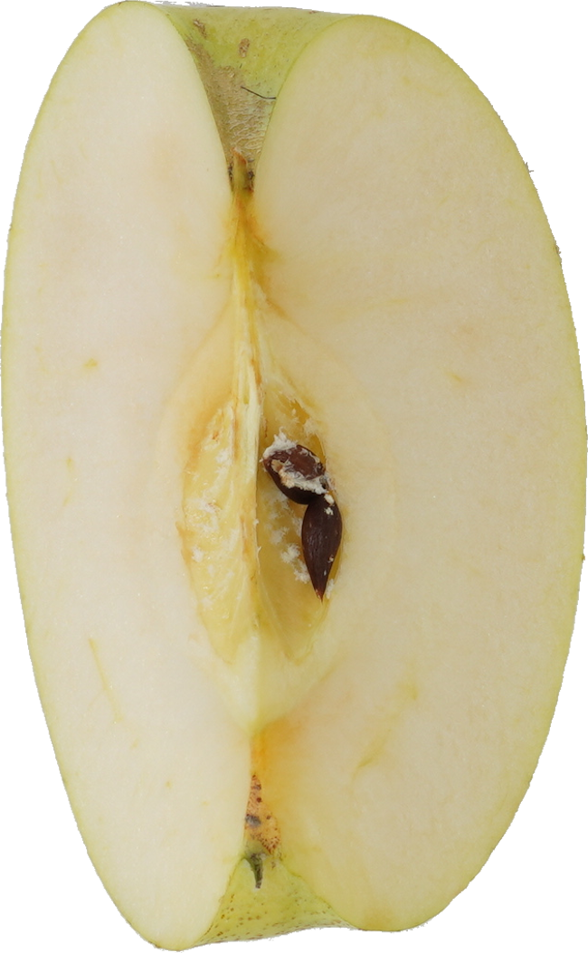 青りんご｜商用可フリー画像・背景透過