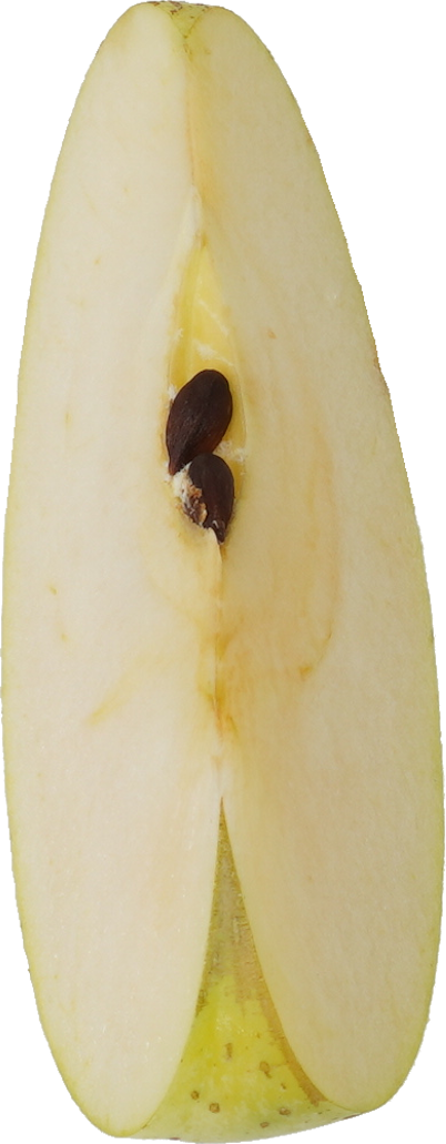 青りんご｜商用可フリー画像・背景透過