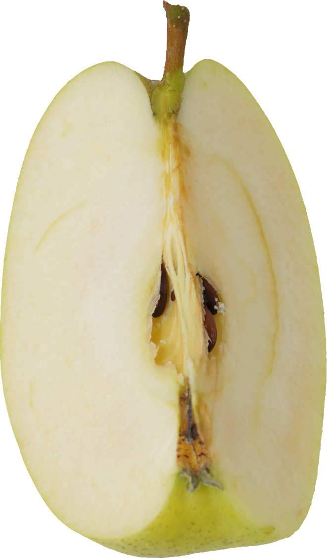 青りんご｜商用可フリー画像・背景透過