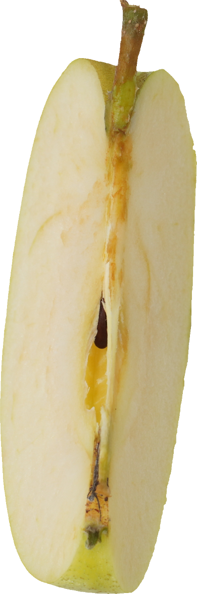 青りんご｜商用可フリー画像・背景透過