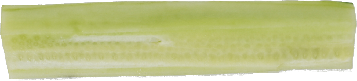 きゅうり｜商用可フリー画像・背景透過