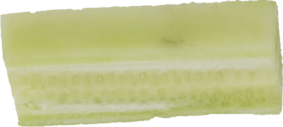 きゅうり｜商用可フリー画像・背景透過