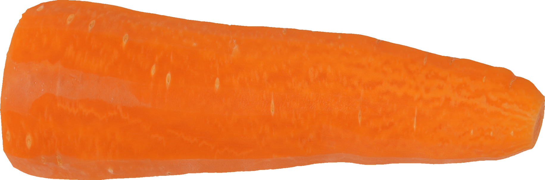 ニンジン｜商用可フリー画像・背景透過