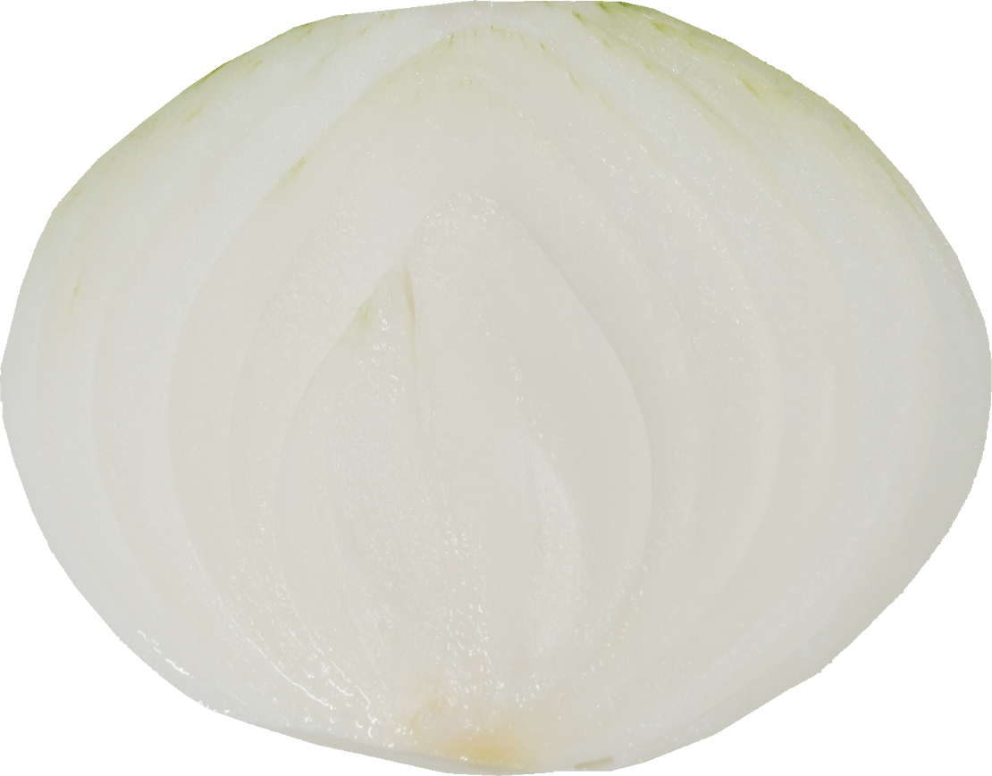 たまねぎ｜商用可フリー画像・背景透過