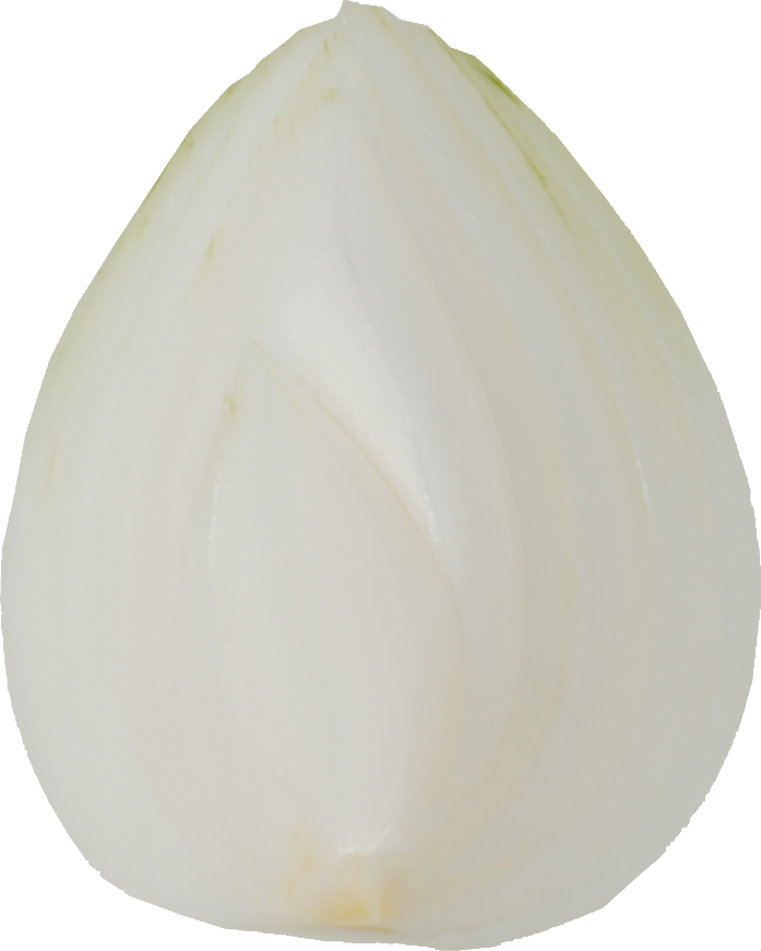 たまねぎ｜商用可フリー画像・背景透過