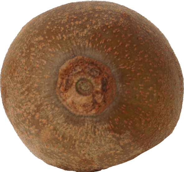 キウイフルーツ（ゴールデンキウイ）｜商用可フリー画像・背景透過