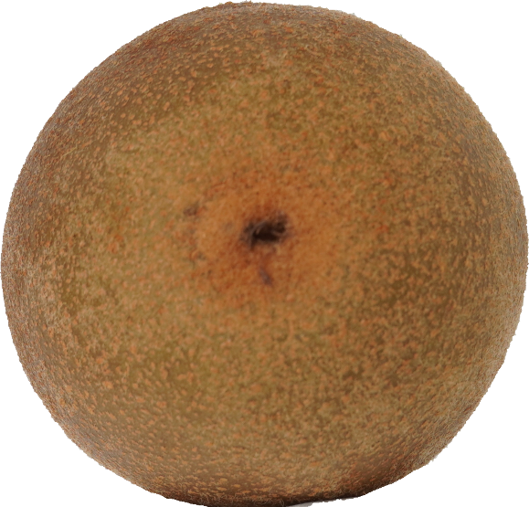 キウイフルーツ（ゴールデンキウイ）｜商用可フリー画像・背景透過