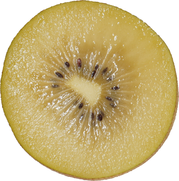 キウイフルーツ（ゴールデンキウイ）｜商用可フリー画像・背景透過