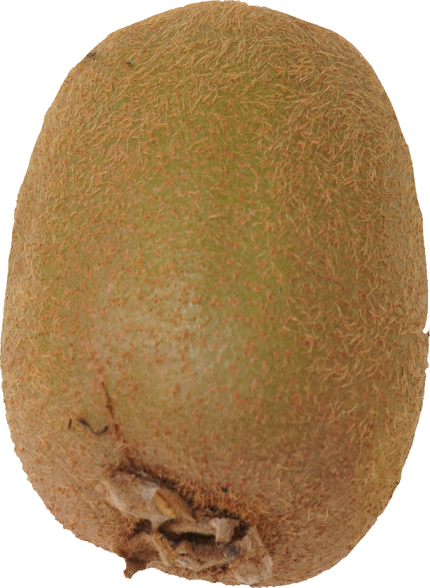 キウイフルーツ｜商用可フリー画像・背景透過