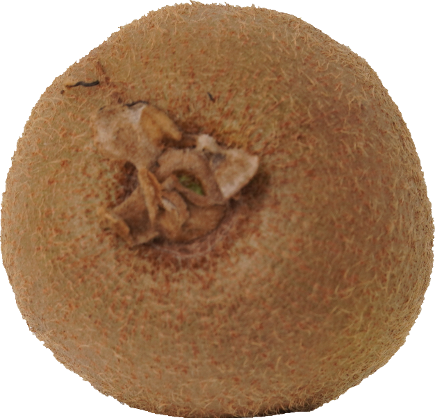 キウイフルーツ｜商用可フリー画像・背景透過