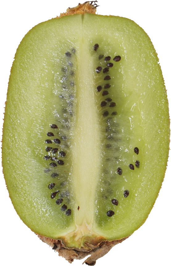 キウイフルーツ｜商用可フリー画像・背景透過