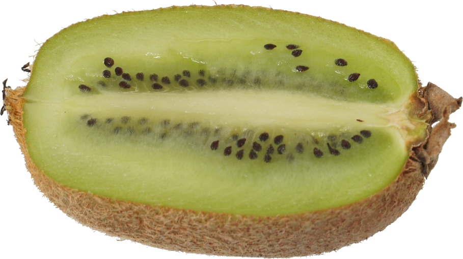 キウイフルーツ｜商用可フリー画像・背景透過