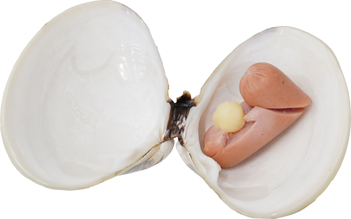 ウインナー｜商用可フリー画像・背景透過