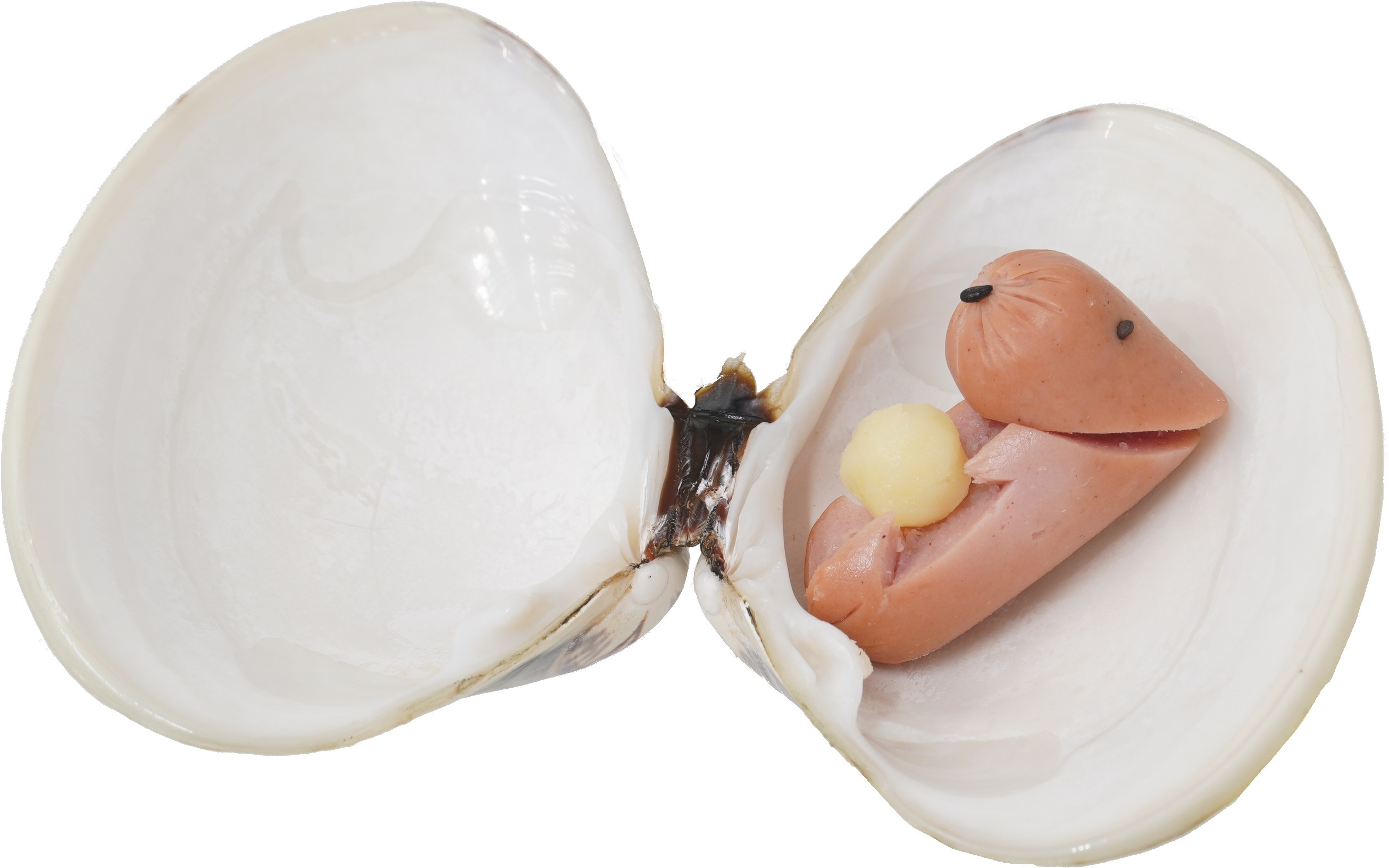 ウインナー｜商用可フリー画像・背景透過