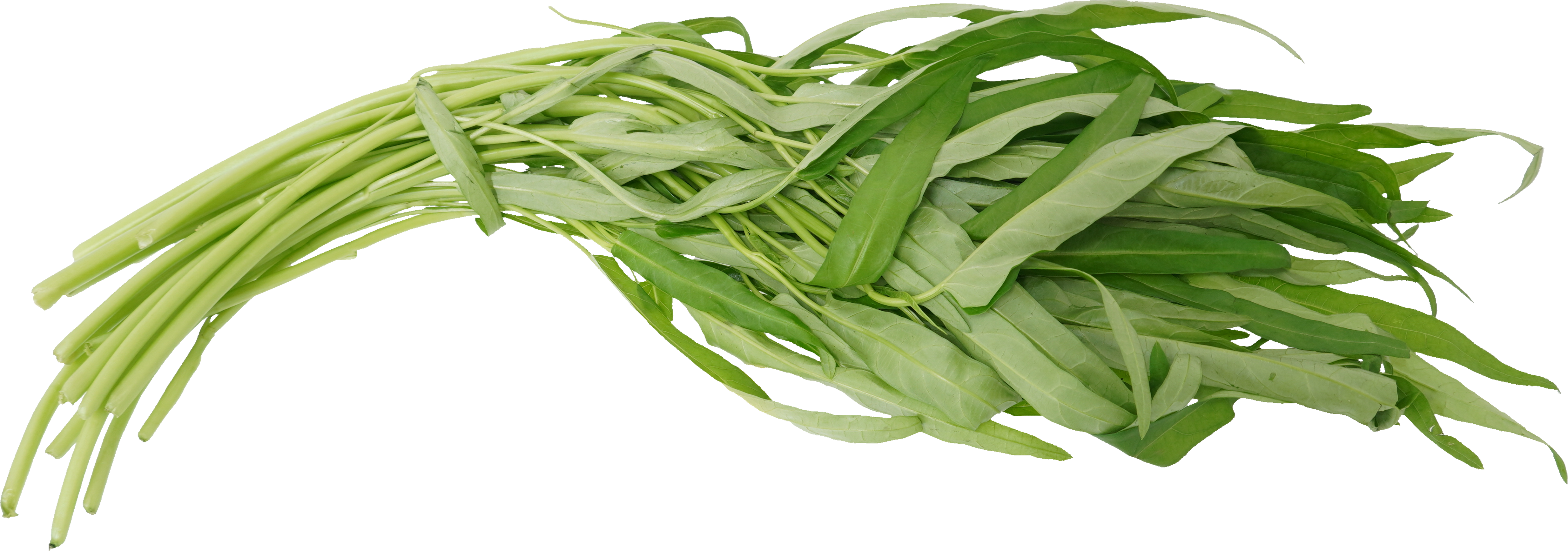 ようさい【くうしんさい】｜商用可フリー画像・背景透過