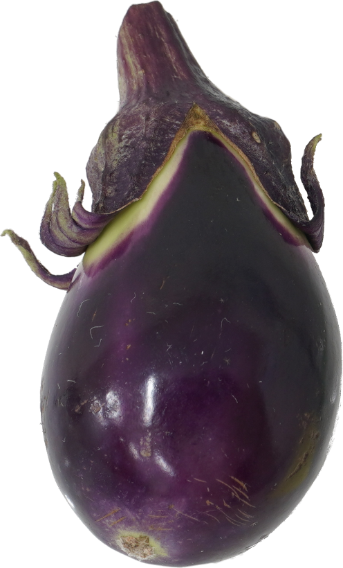 なす｜商用可フリー画像・背景透過