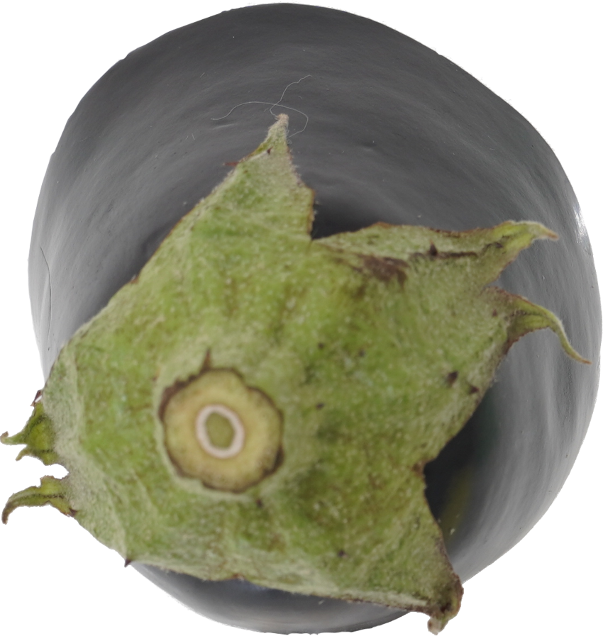 なす｜商用可フリー画像・背景透過