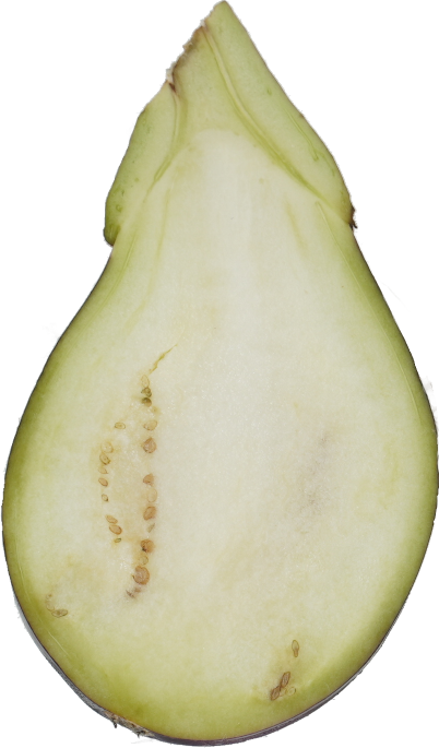 なす｜商用可フリー画像・背景透過